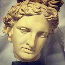 Load image into Gallery viewer, Bust - Sculpted Head Suspended on Stone Base-Sculpture-Antique Warehouse