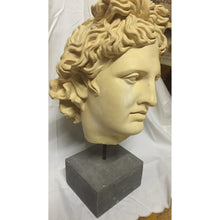 Load image into Gallery viewer, Bust - Sculpted Head Suspended on Stone Base-Sculpture-Antique Warehouse