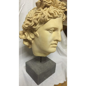 Bust - Sculpted Head Suspended on Stone Base-Sculpture-Antique Warehouse