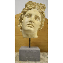 Load image into Gallery viewer, Bust - Sculpted Head Suspended on Stone Base-Sculpture-Antique Warehouse