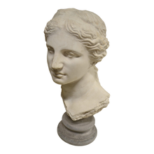 Load image into Gallery viewer, Sculpture - Greek Goddess Bust on Round Stone Pedestal-Sculpture-Antique Warehouse